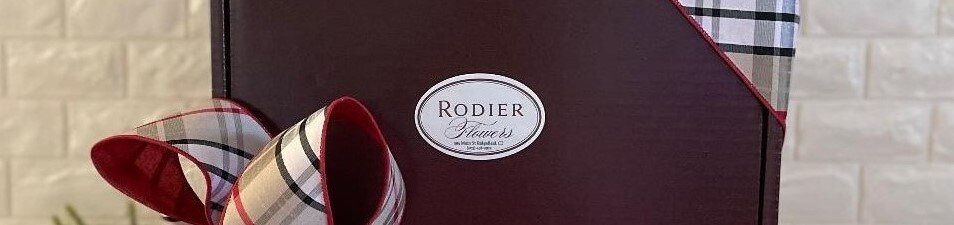 Rodier Box 23